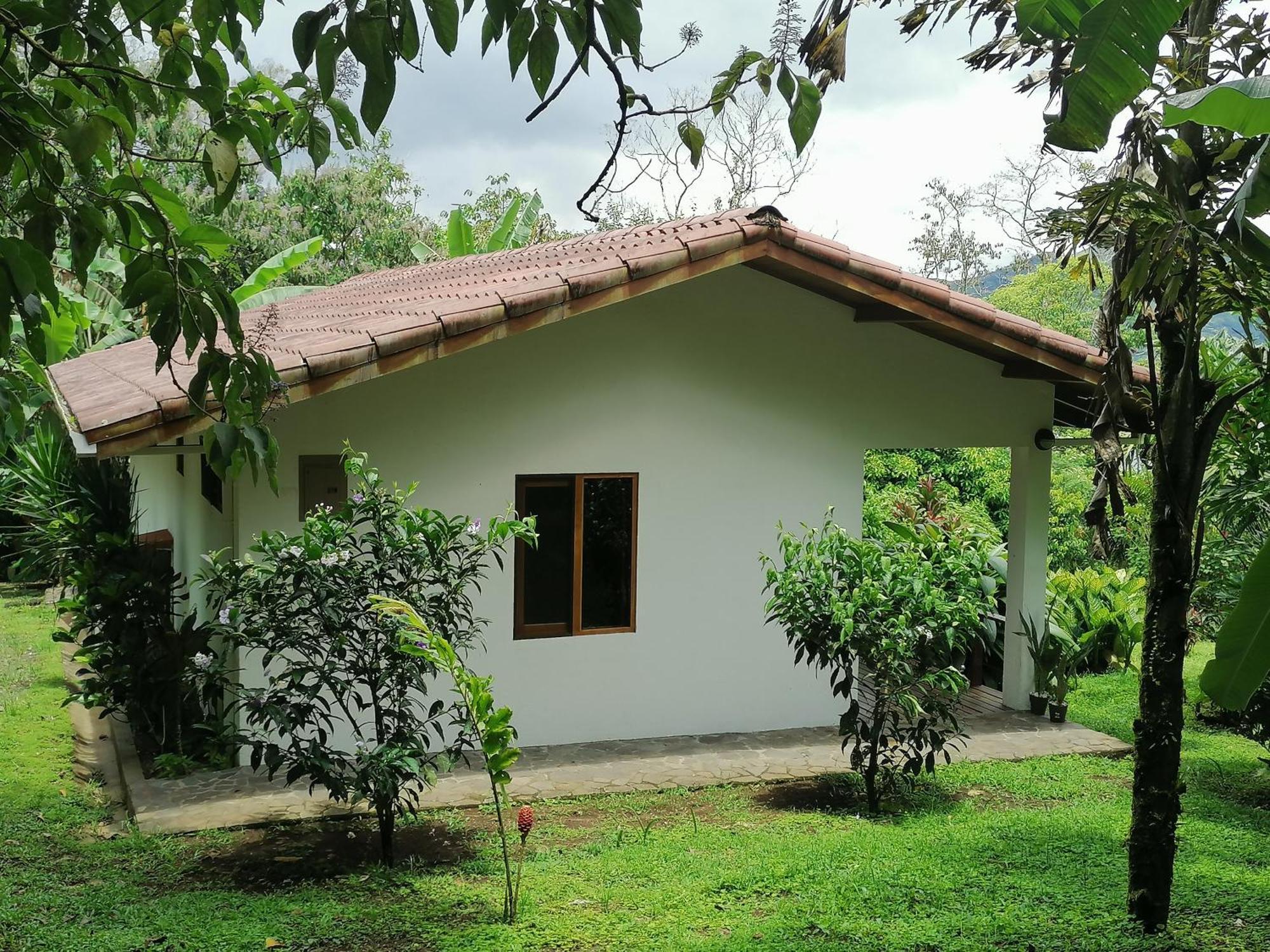 La Ceiba Tree Lodge Tilarán Eksteriør billede