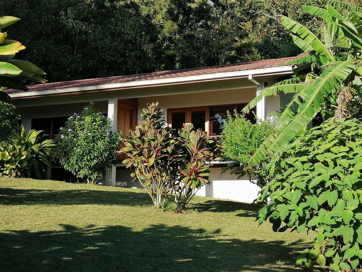La Ceiba Tree Lodge Tilarán Eksteriør billede