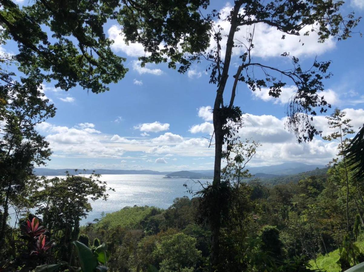 La Ceiba Tree Lodge Tilarán Eksteriør billede