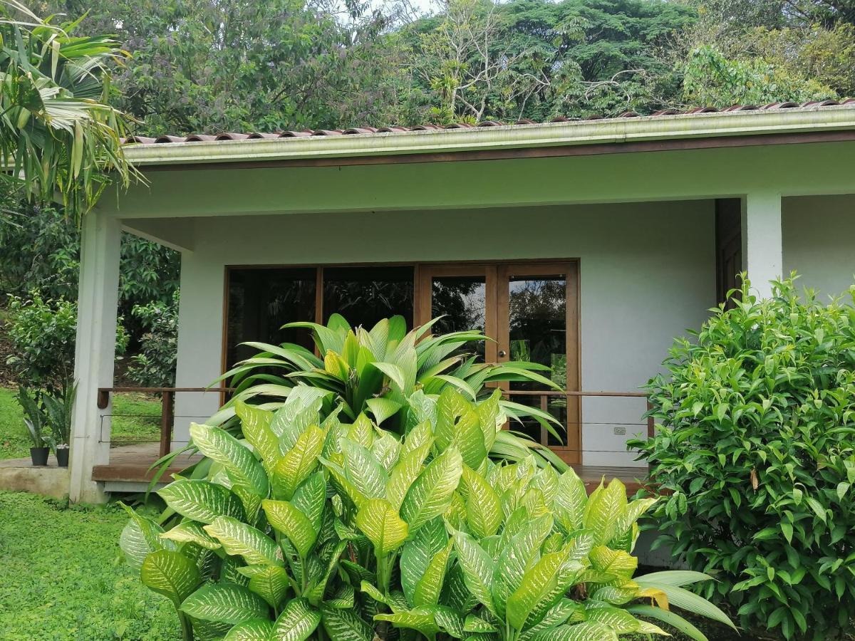 La Ceiba Tree Lodge Tilarán Eksteriør billede
